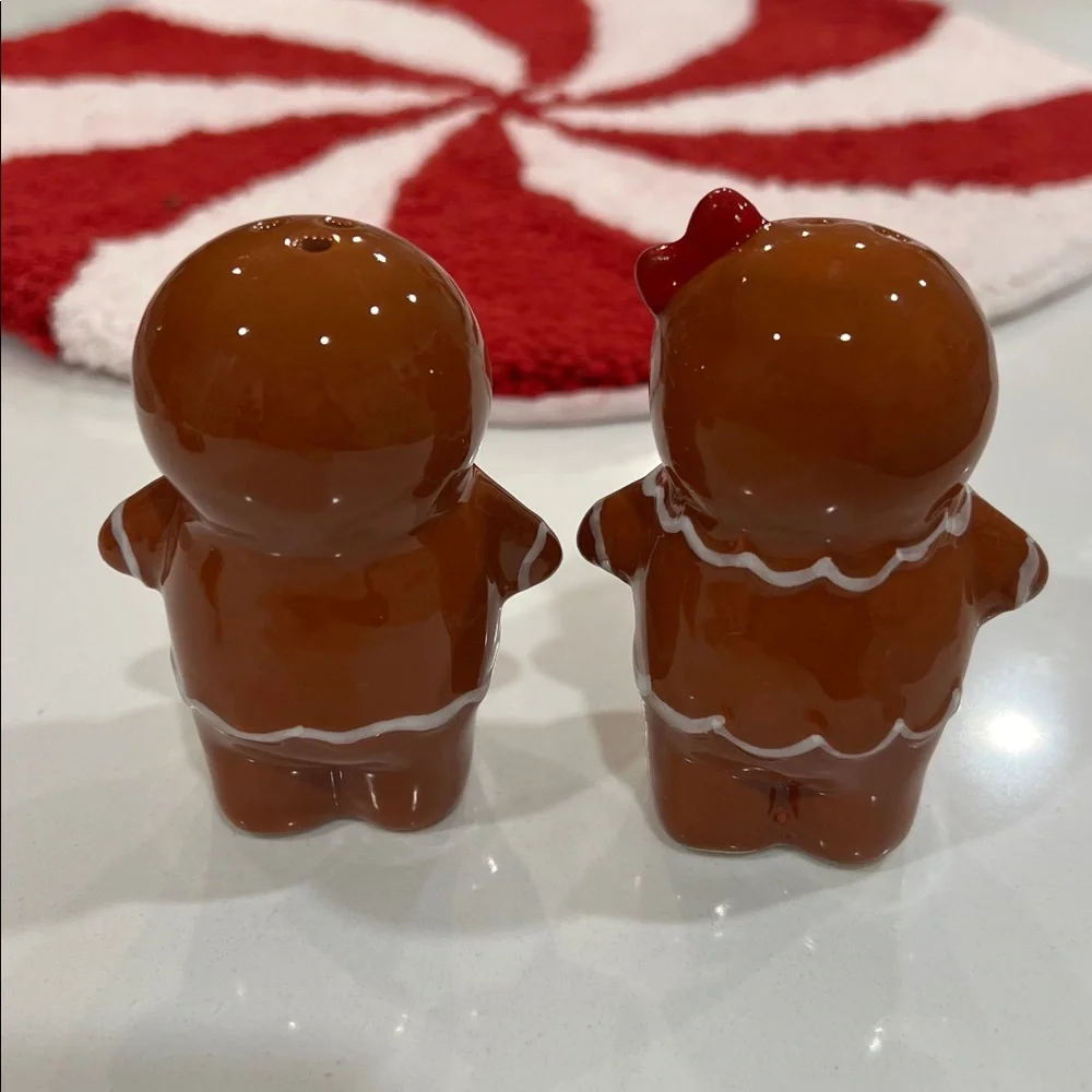 🫚Cute Gingerbread Sal & Pepper